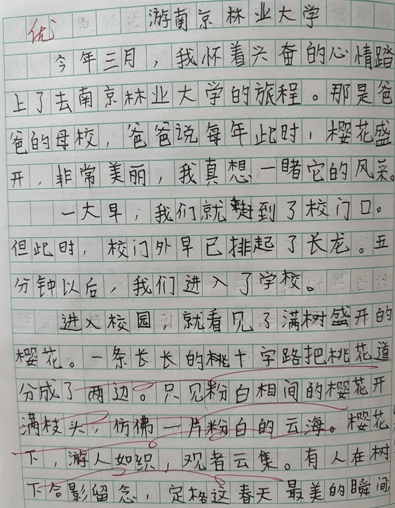 游南京林业大学01