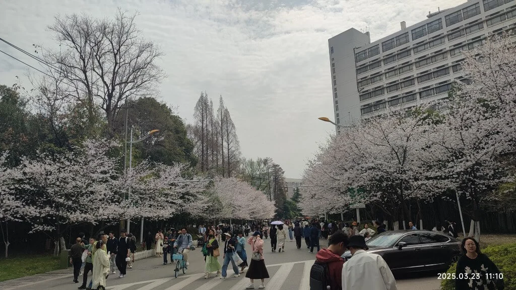 游南京林业大学08