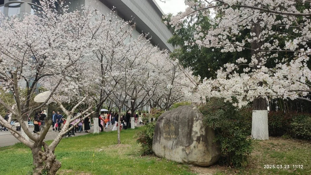 游南京林业大学09