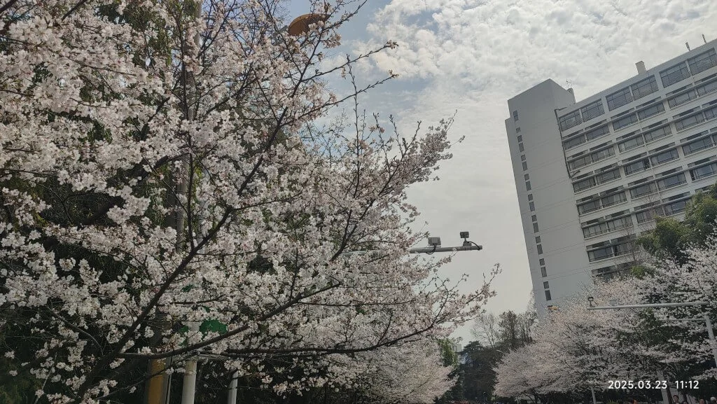 游南京林业大学10
